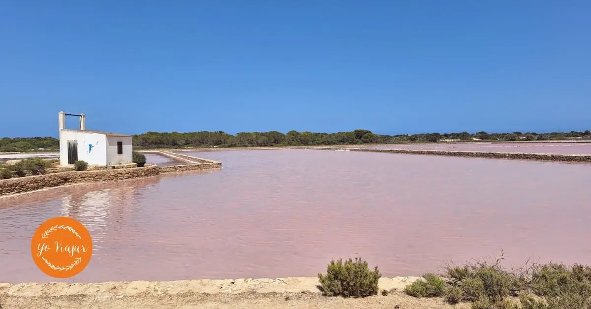 Formentera en 5 dias itinerario relajado para familias con bebes (5)